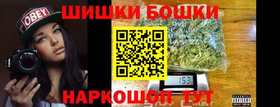 МДПВ Новозыбков