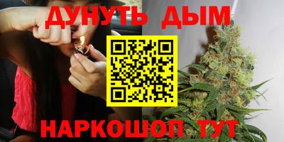 МДПВ Новозыбков