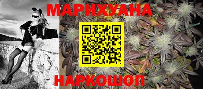 МДПВ Новозыбков