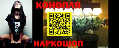 МДПВ Новозыбков