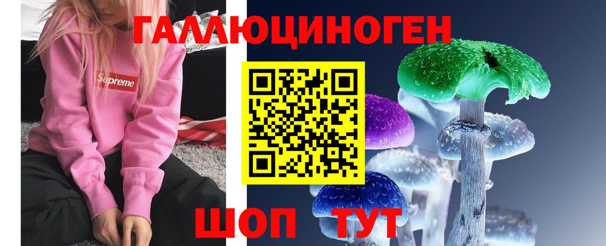 Псилоцибиновые грибы Cubensis  Вход с VPN  даркнет сайт  Галлюциногенные грибы Psilocybe  Саранск 